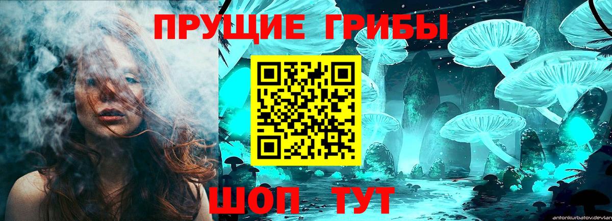 Галлюциногенные грибы Psilocybine cubensis  Вход с VPN  даркнет сайт  Заинск 